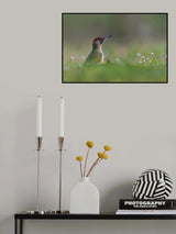 Green beauty Poster och Canvastavla