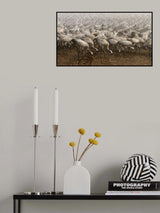 the cranes Poster och Canvastavla