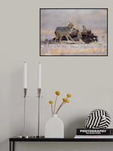 Golden Jackal Poster och Canvastavla