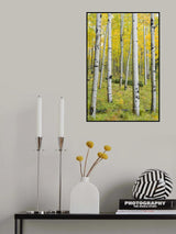 Yellow Birchs vertical Poster och Canvastavla