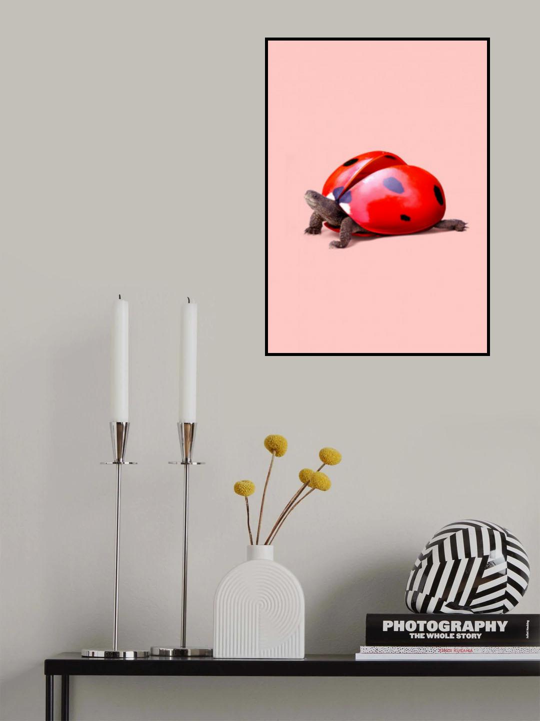 Ladybug Turtle Poster och Canvastavla
