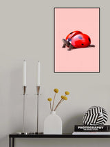 Ladybug Turtle Poster och Canvastavla