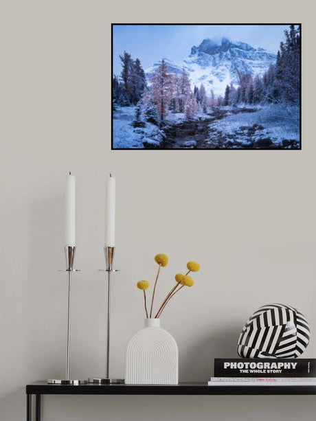 Snowy Silence Poster och Canvastavla