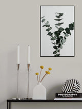 Eucalyptus Natural 01 Poster och Canvastavla