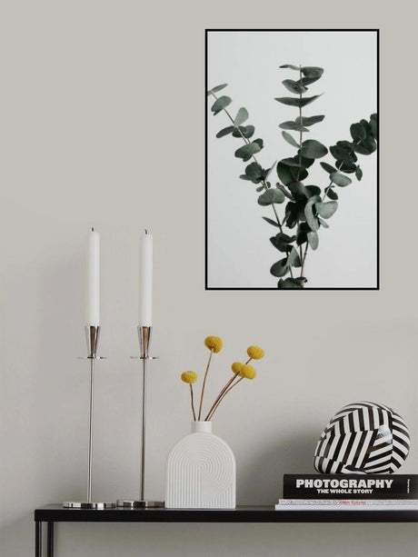 Eucalyptus Natural 01 Poster och Canvastavla