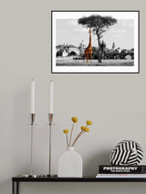 The Feeder Poster och Canvastavla
