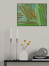 Floating Vegetable seedlings Poster och Canvastavla