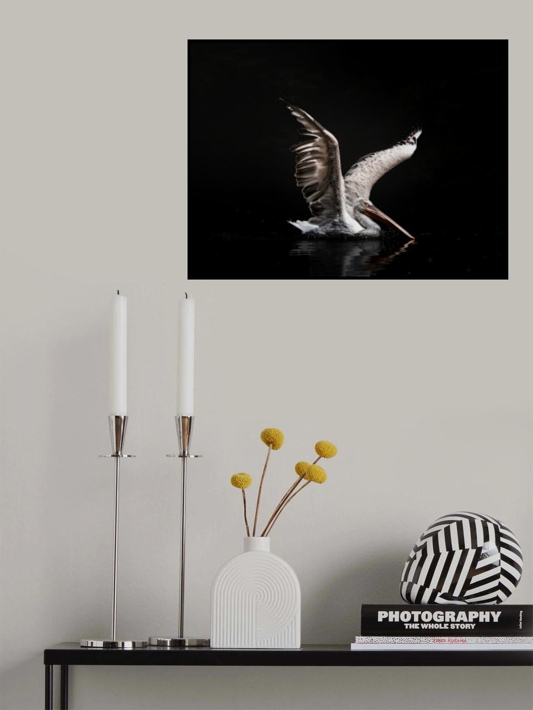 The Morning Swim Poster och Canvastavla