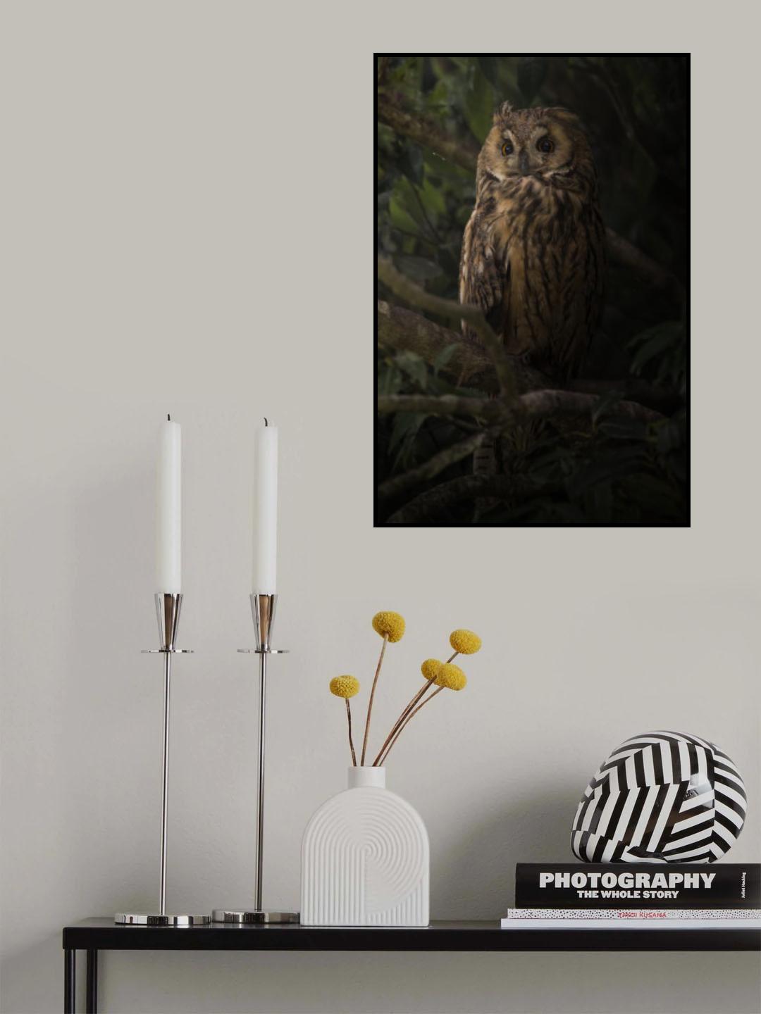 Resting on a tree Poster och Canvastavla
