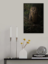 Resting on a tree Poster och Canvastavla