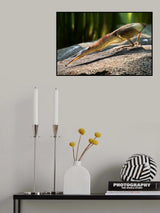 Gotcha Poster och Canvastavla