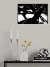 Poster och Canvastavla
