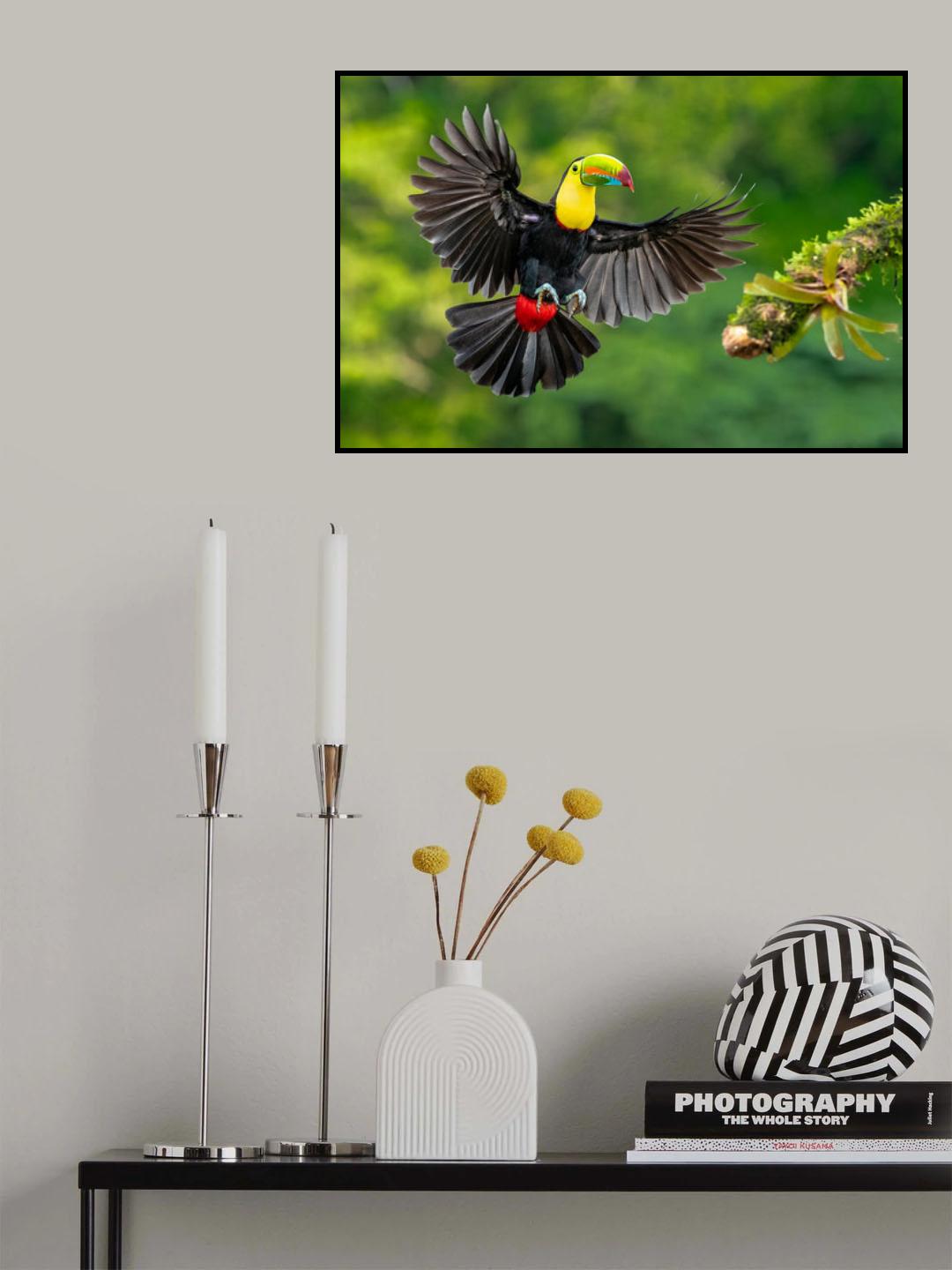 Spread wings Poster och Canvastavla