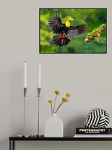 Spread wings Poster och Canvastavla