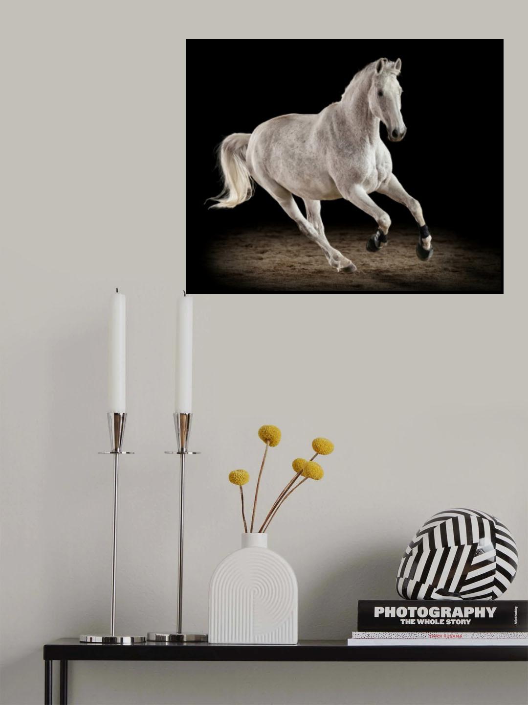 White Dancer Poster och Canvastavla