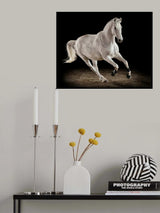 White Dancer Poster och Canvastavla