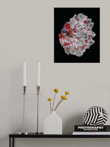 The Wedding Dress Poster och Canvastavla