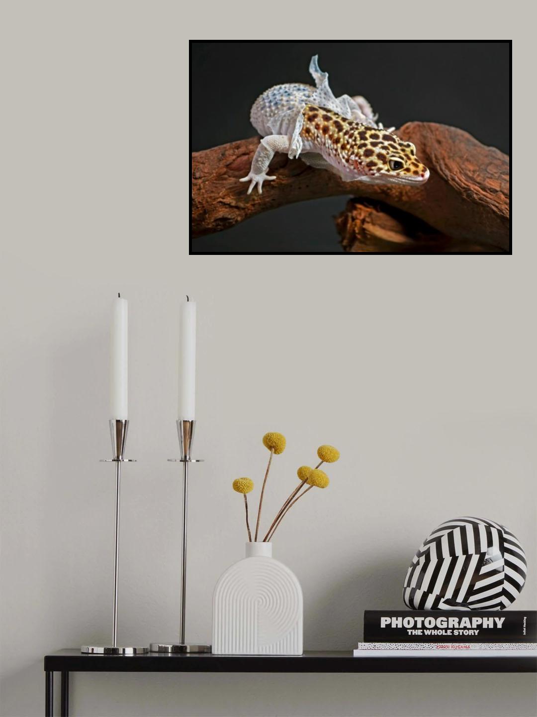 Shedding Poster och Canvastavla