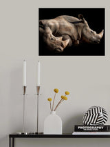 the NAP time Poster och Canvastavla