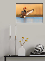 Spread wings Poster och Canvastavla