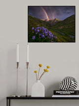 Making Haste Poster och Canvastavla