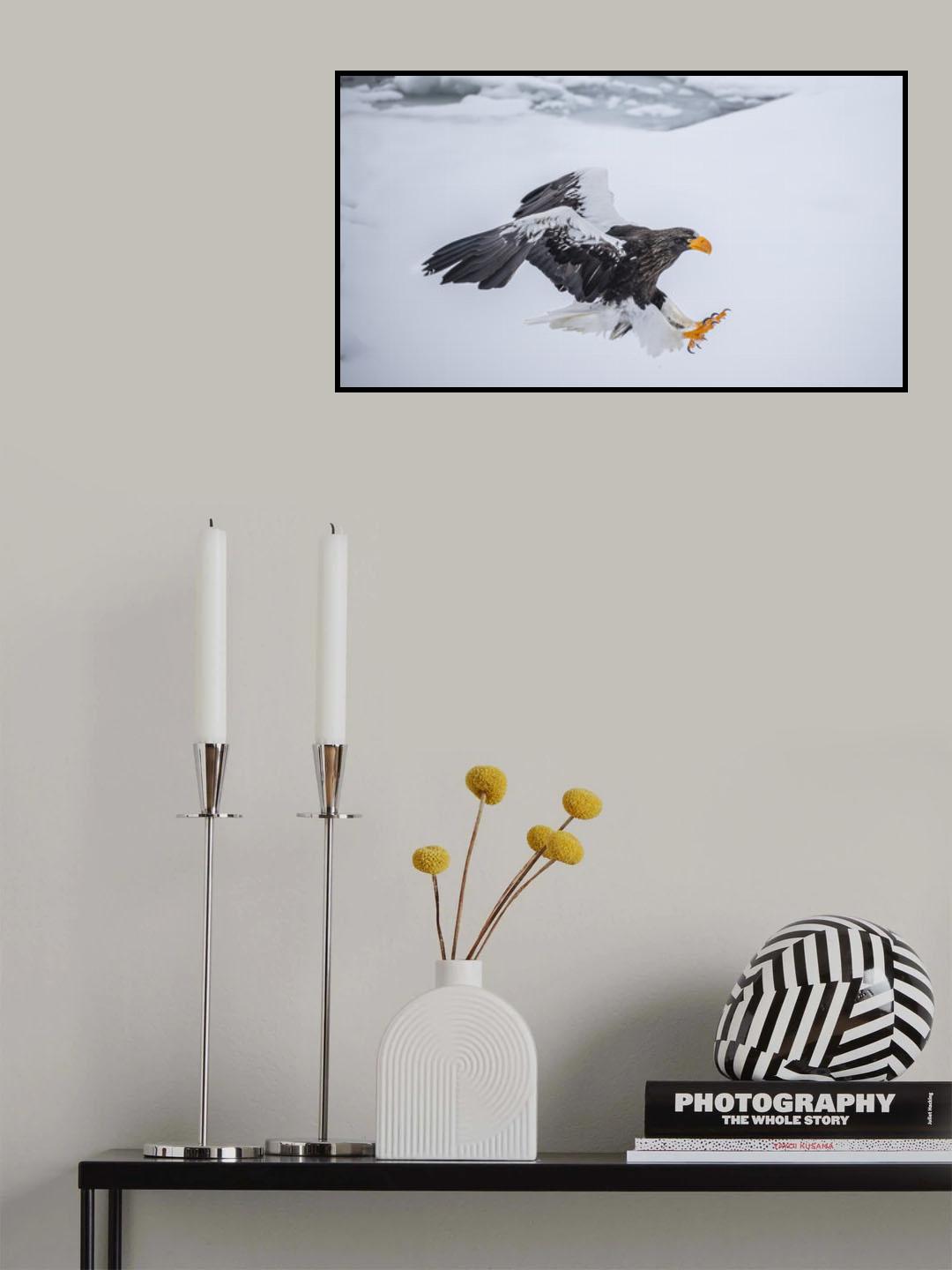 Eagle Claw is ready Poster och Canvastavla