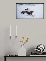 Eagle Claw is ready Poster och Canvastavla