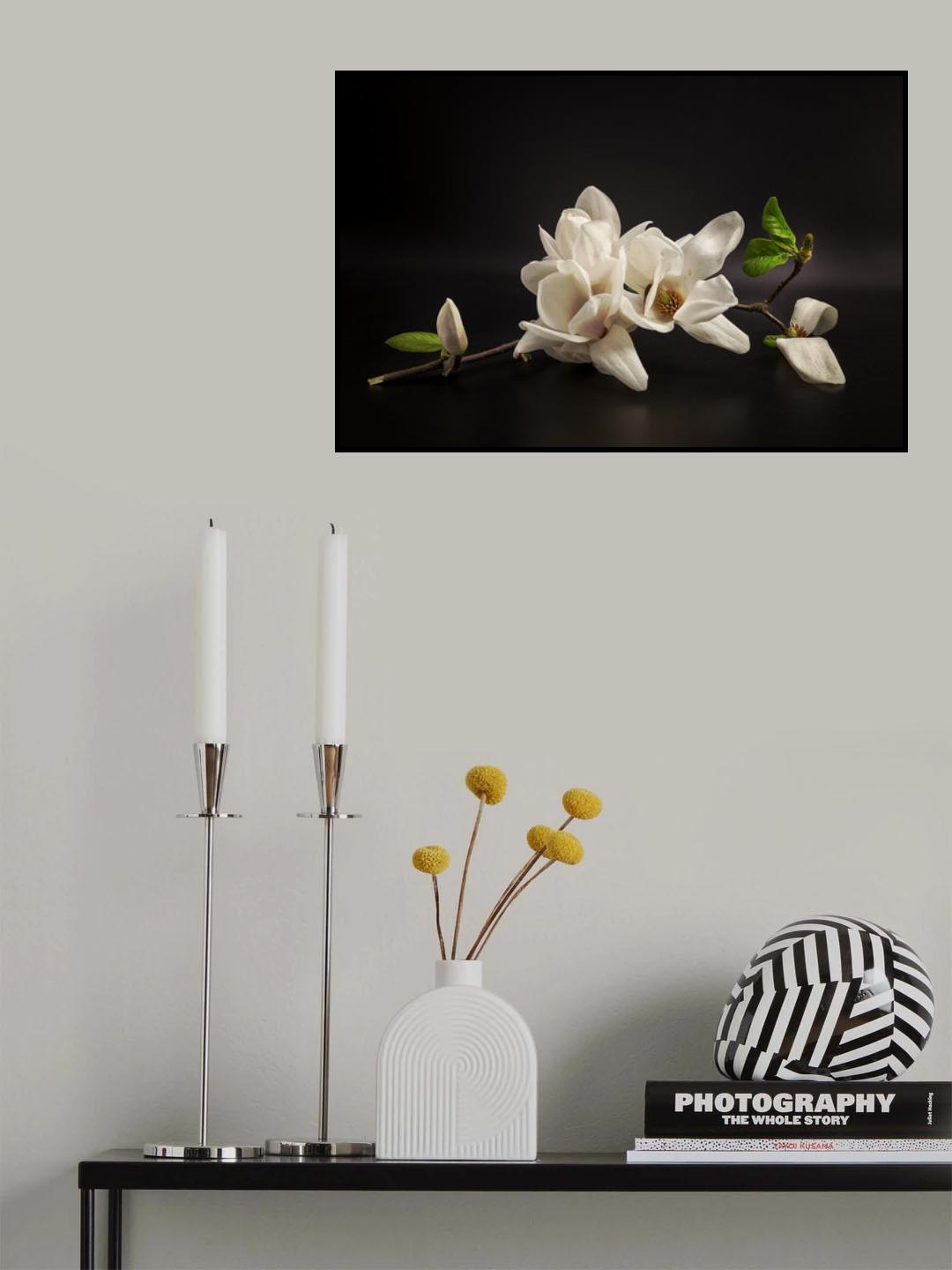 Magnolia Poster och Canvastavla