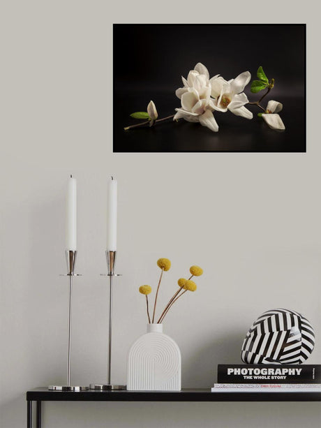 Magnolia Poster och Canvastavla