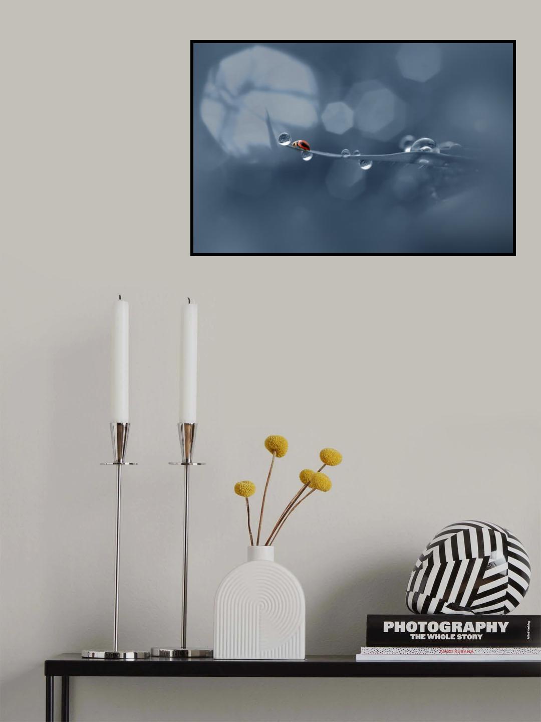 Lady Bug - Fetch a Fortune Poster och Canvastavla