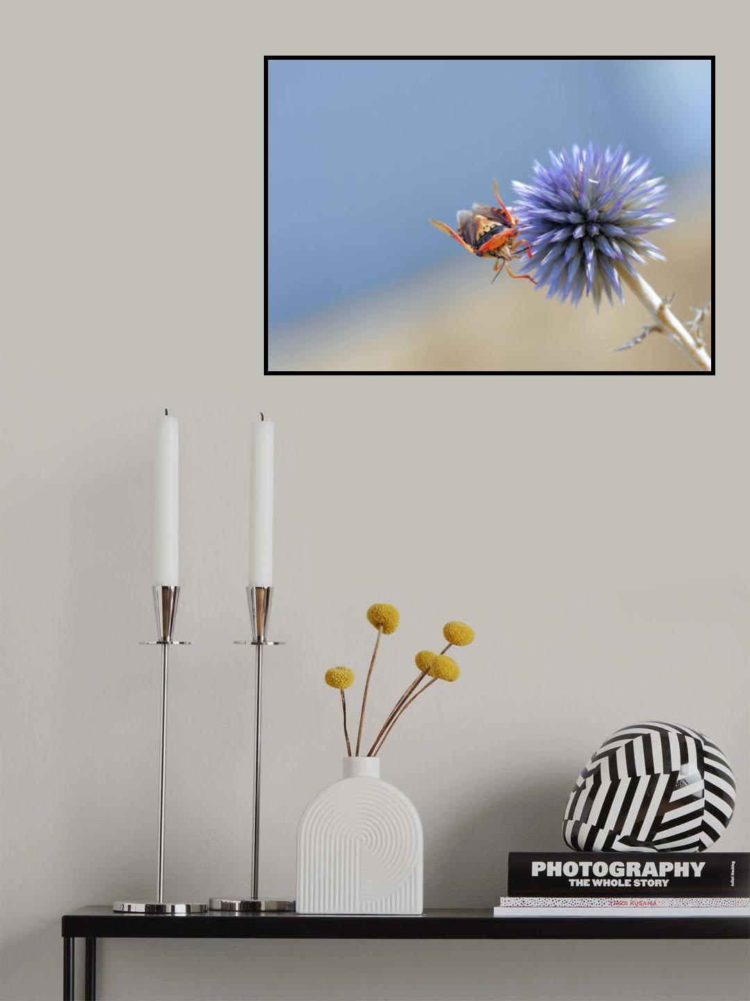 Between heaven and earth... Poster och Canvastavla