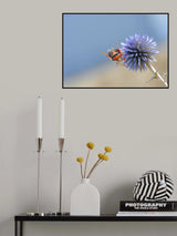 Between heaven and earth... Poster och Canvastavla