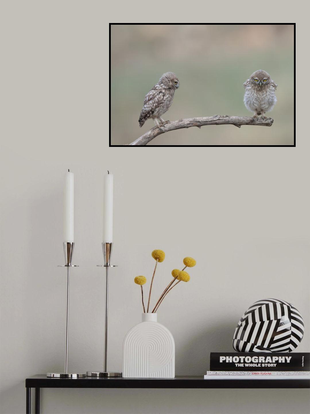 Ma chick Poster och Canvastavla