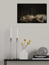 Lady in Gold Poster och Canvastavla