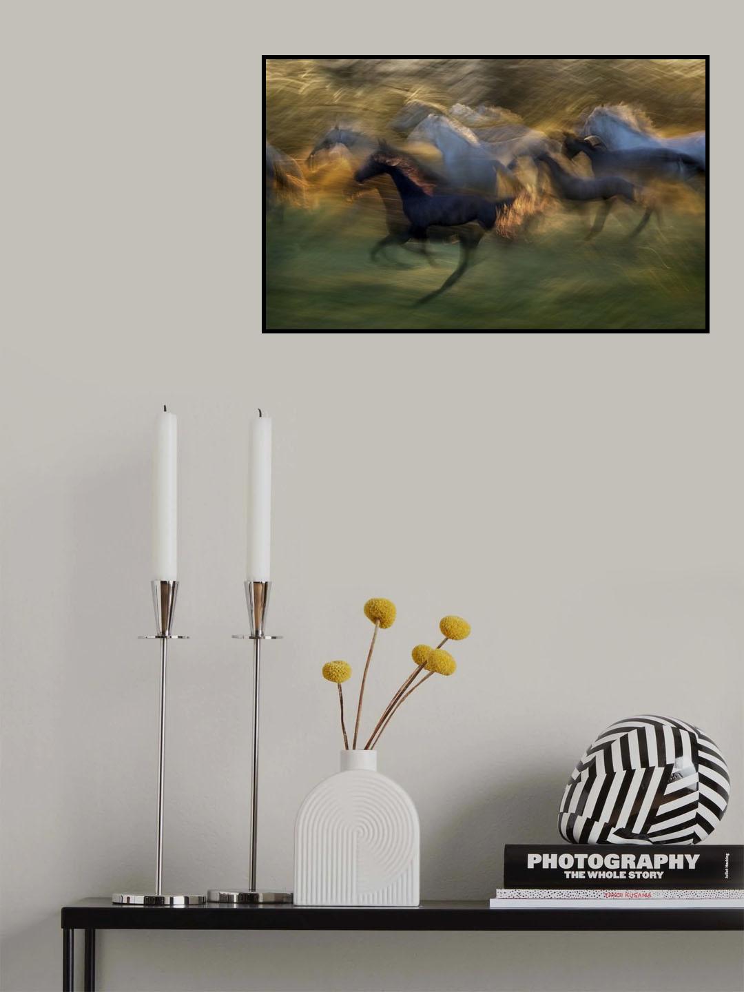 fiery gallop Poster och Canvastavla