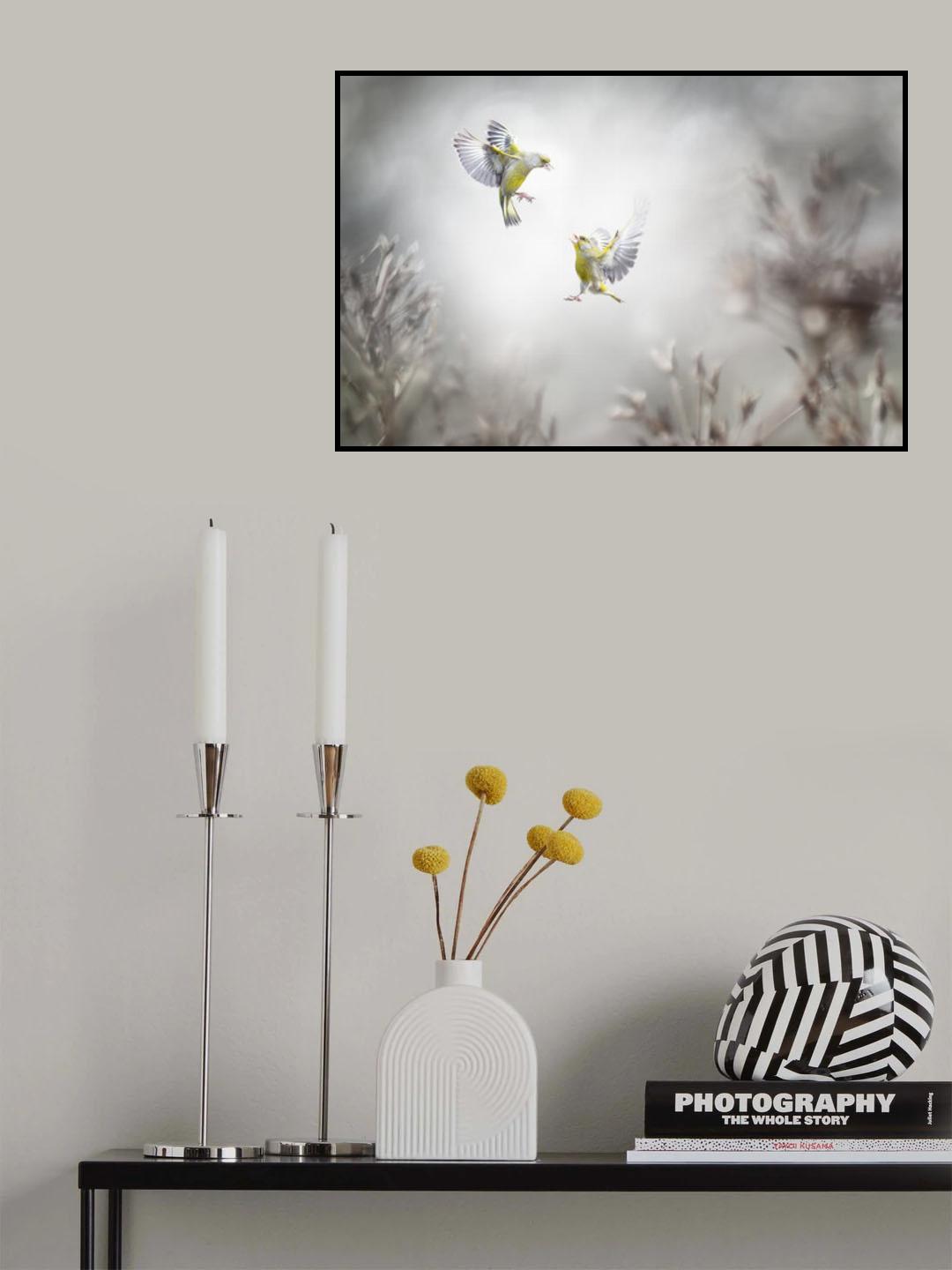Angry birds Poster och Canvastavla