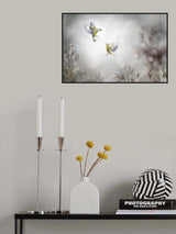 Angry birds Poster och Canvastavla