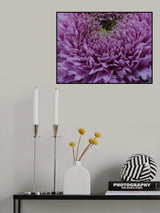 beautiful pink flower Poster och Canvastavla
