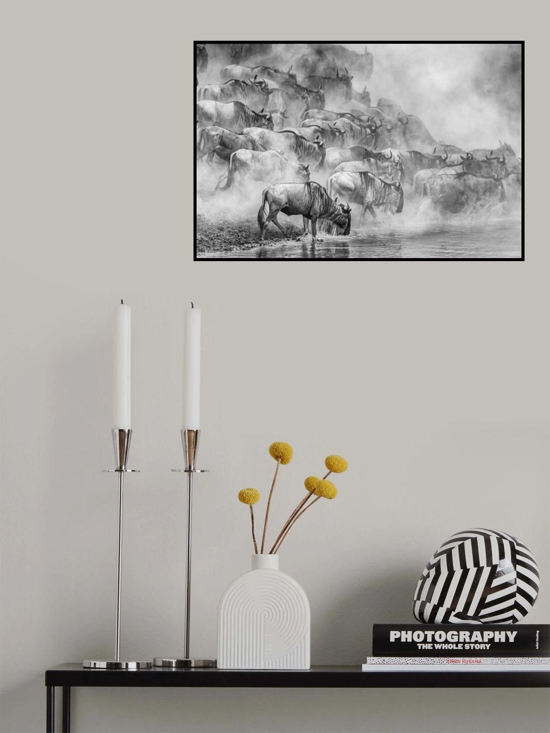The Crossing Poster och Canvastavla