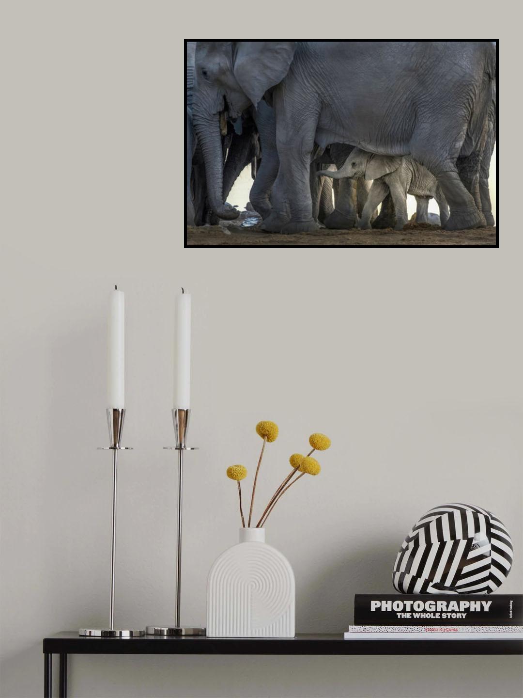 Escort Poster och Canvastavla
