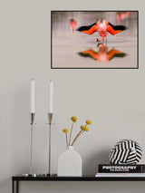 Winds Poster och Canvastavla