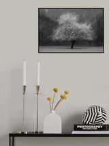 Tree magic Poster och Canvastavla