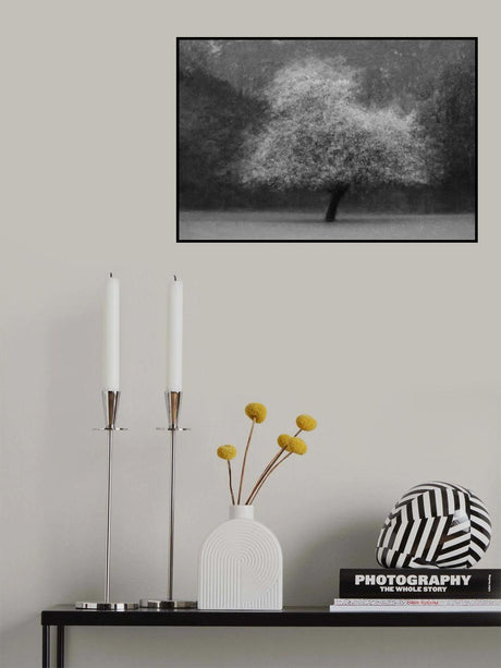 Tree magic Poster och Canvastavla