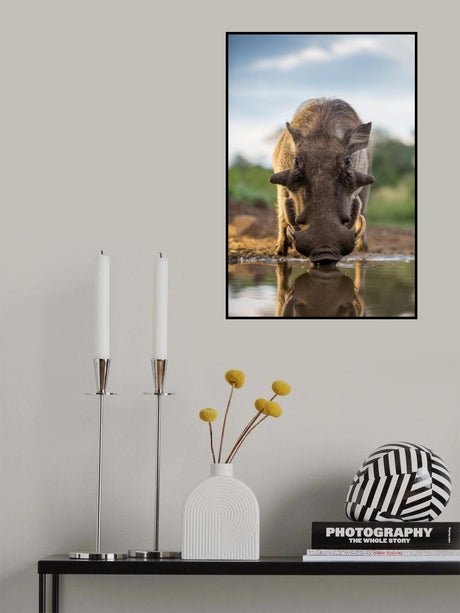 HEAD ON HOG Poster och Canvastavla
