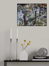 Poster och Canvastavla