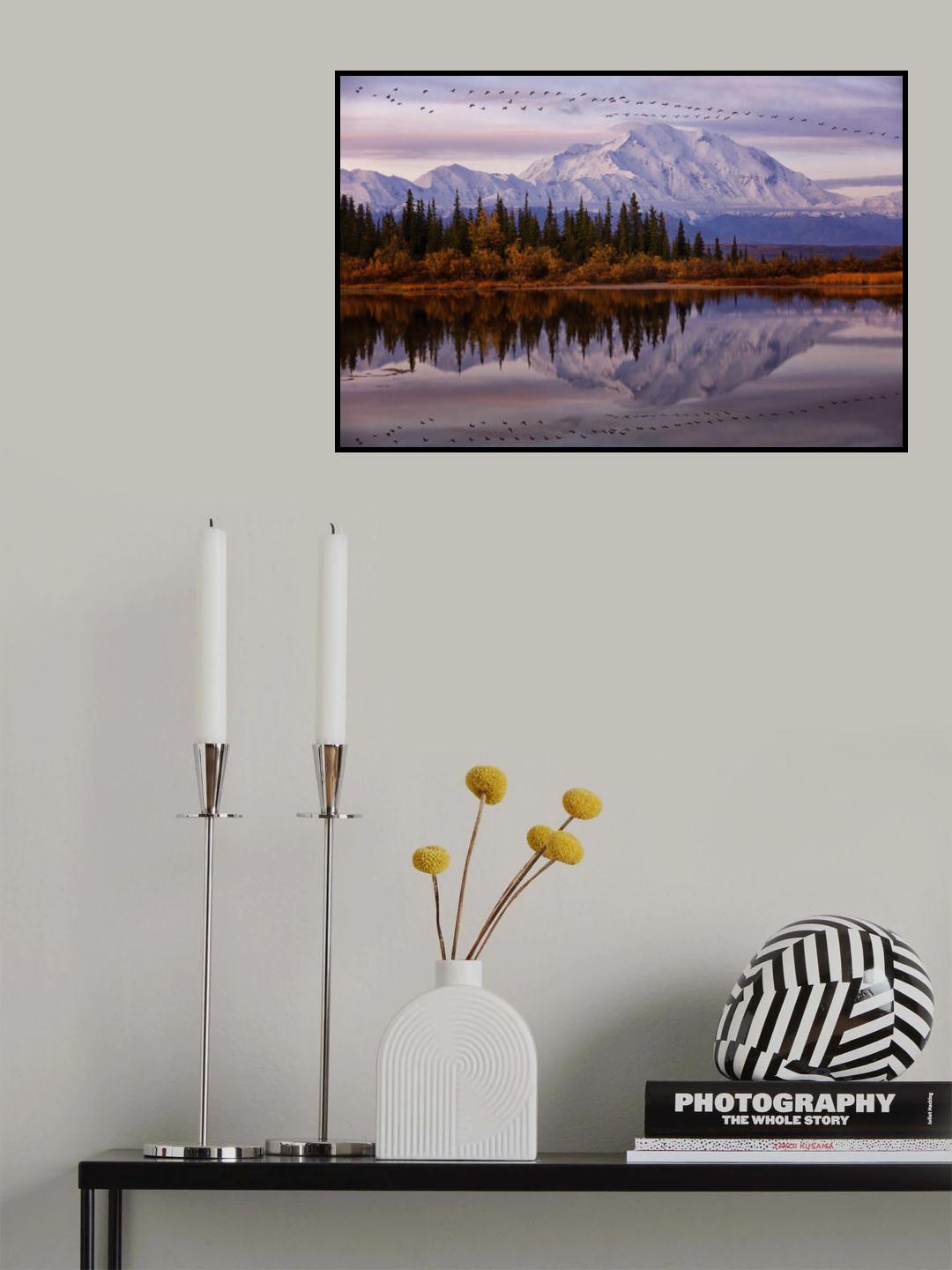 Flying Over Poster och Canvastavla