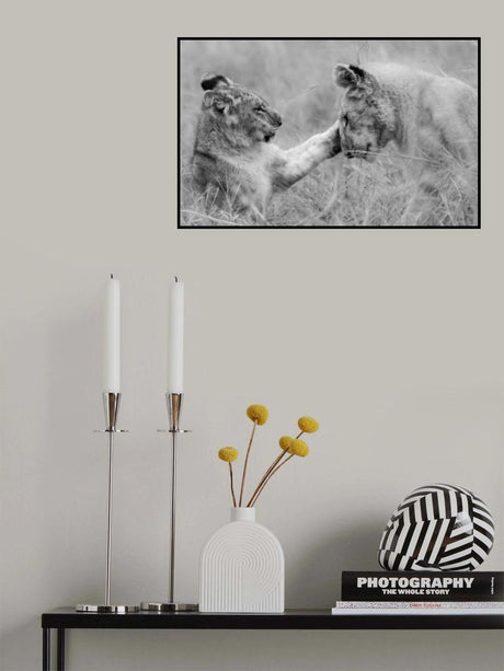 Playtime Poster och Canvastavla
