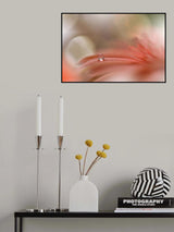Light touch.. Poster och Canvastavla