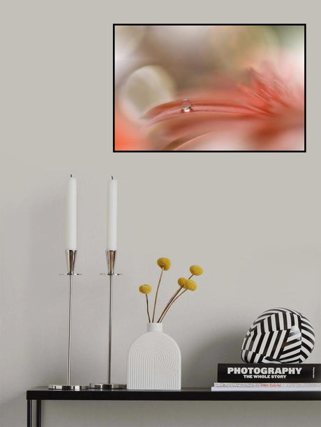 Light touch.. Poster och Canvastavla