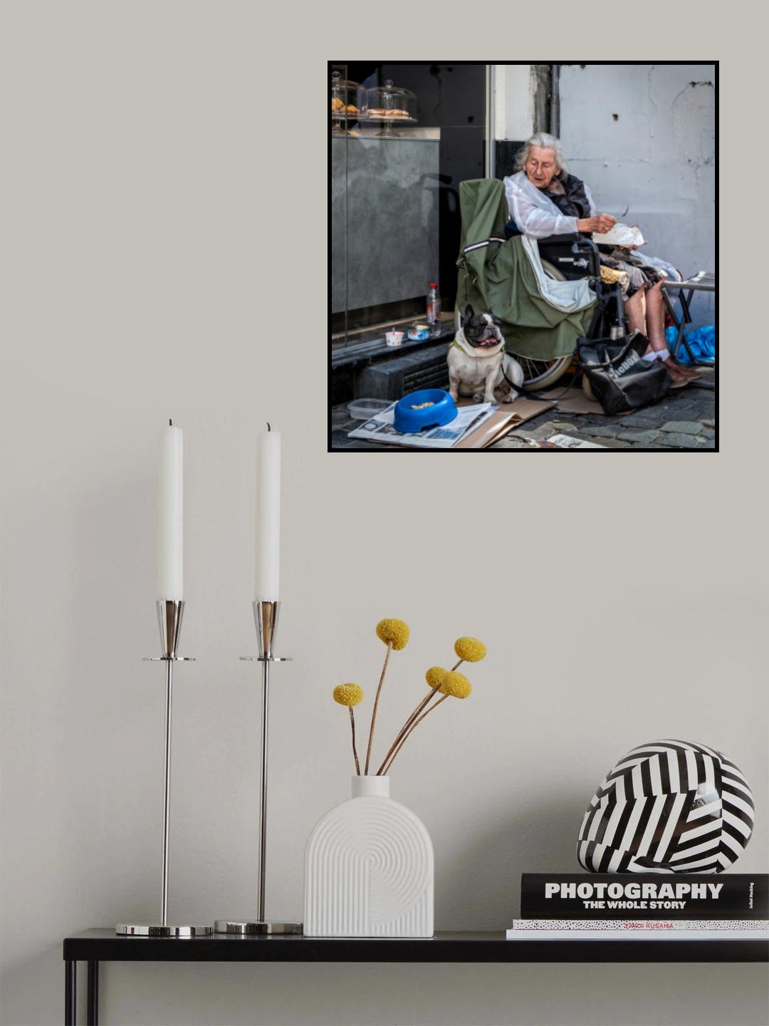 Dog's Life Poster och Canvastavla